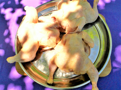 Курицу помыть, обсушить. Курицу помыть, обсушить.